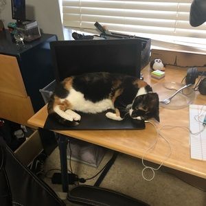 Meet your Posher, Ashleigh